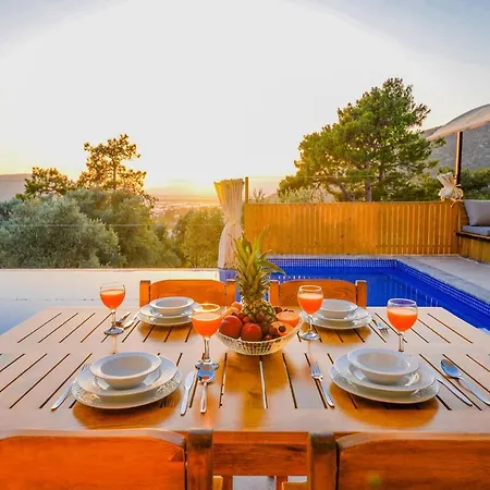 Risus 1 * Kalkan